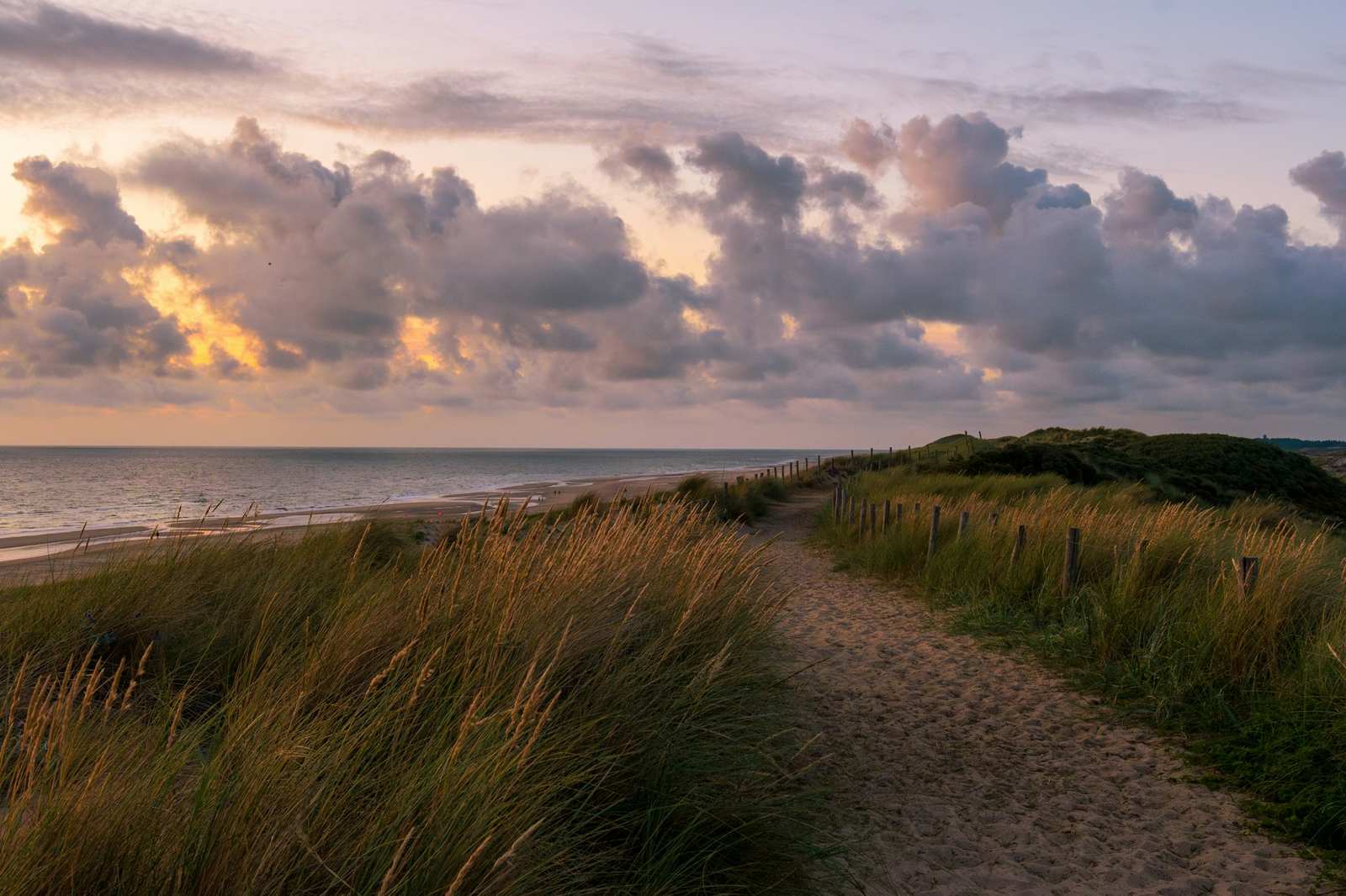 Zandpad door de duinen met helmgras, en de zee in het avondlicht