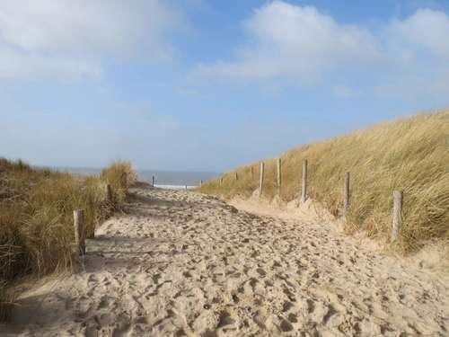 Foto groot bekijken: Zandpad tussen het helmgras naar zee, in de zon